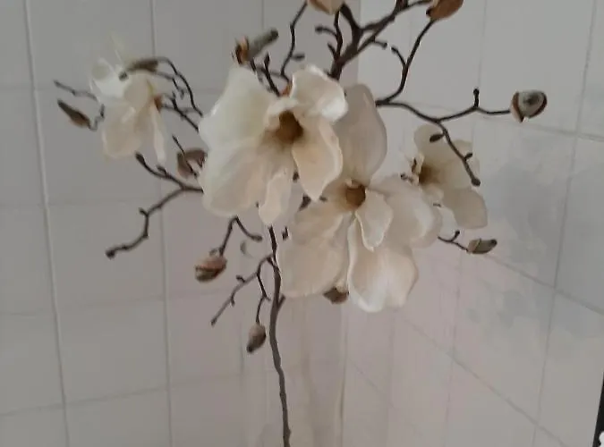Terrace-apartment דירה